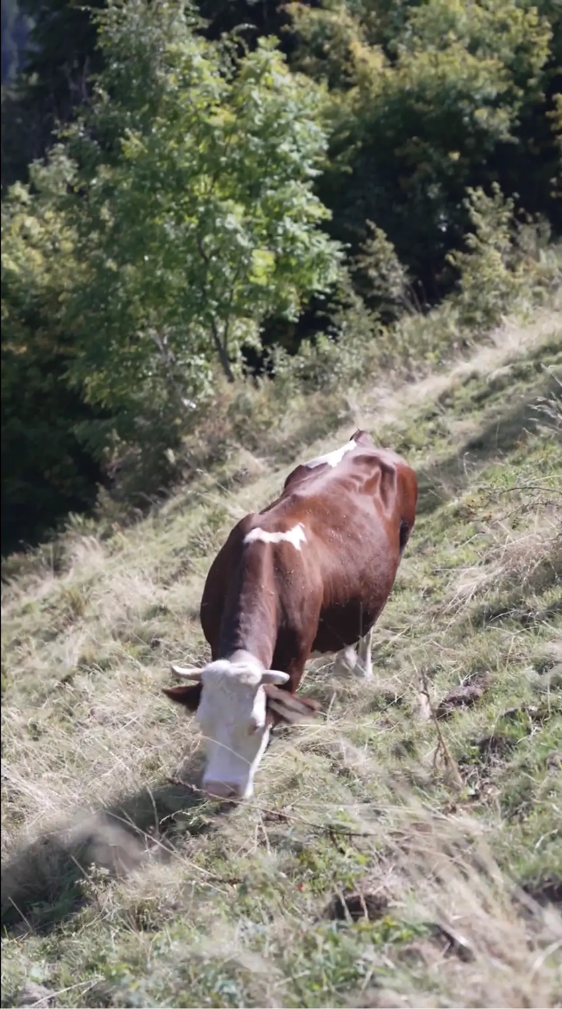 Trekking in Valsesia